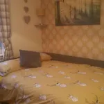 Millie\'s place
